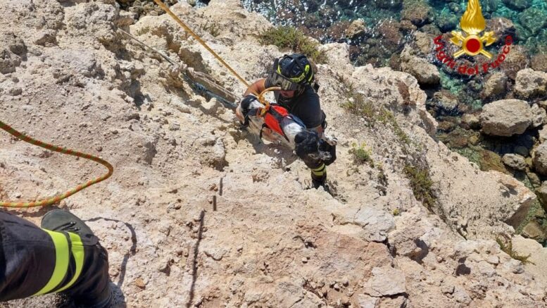 Cane cade da una falesia a Cabras, salvato dai vigili del fuoco